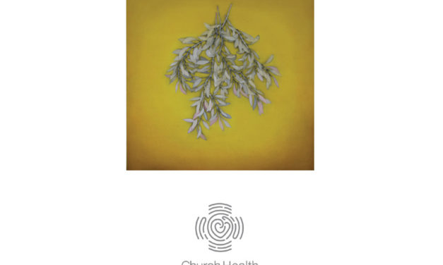 Church Health 2018 Christmas Card Features Pam McDonnell Artwork “Sincerity”