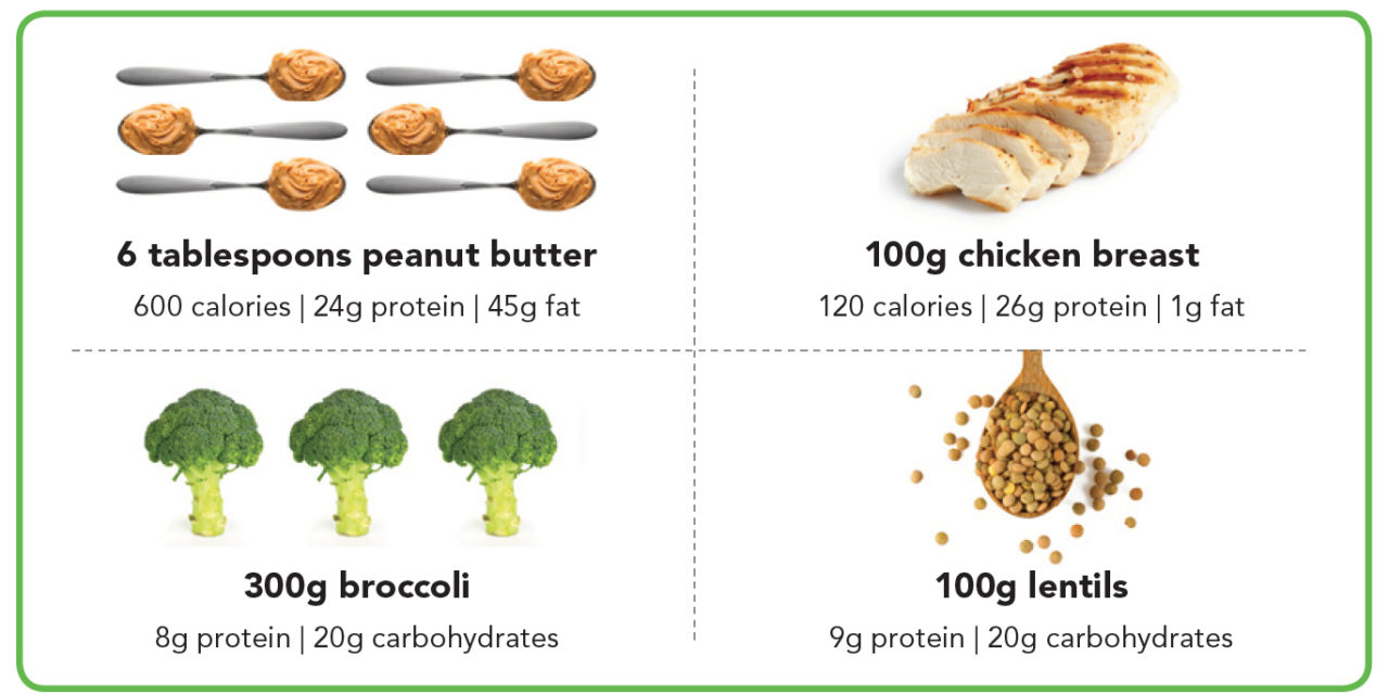 Important Facts about Protein
