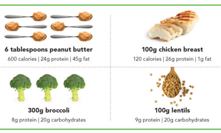 Important Facts about Protein