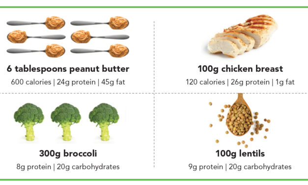 Important Facts about Protein