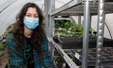 St. Jude Garden & Memphis Tilth Team Up To Provide Produce For Patients