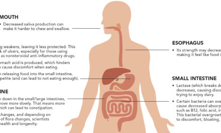 4 Tips For Improving Digestion With Age