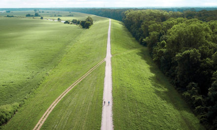 The Viewpoint No One Sees | The Big River Park Will Change Your Outlook