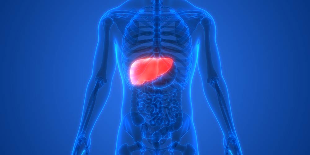 <strong>How to Naturally Support your Liver </strong>