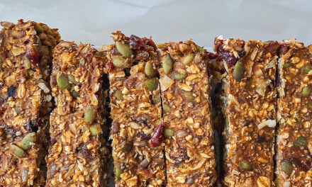 Cranberry Pumpkin Maca Protein Bars